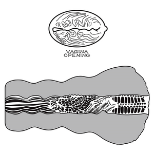 Masturbador Alien's Pie #3 - Sen Fantasy