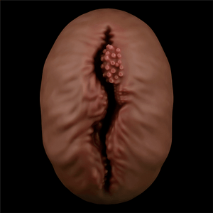 Masturbator Alien's Pie #1 Black - Sen Fantasy