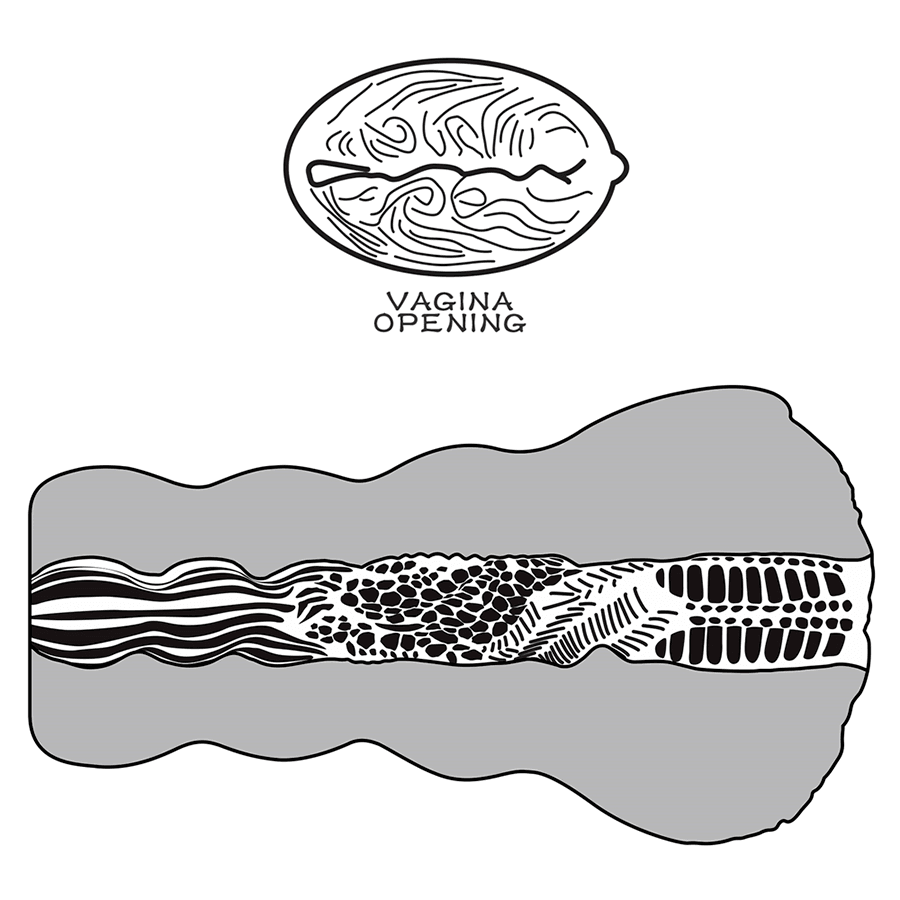 Masturbador Alien's Pie #3 - Sen Fantasy