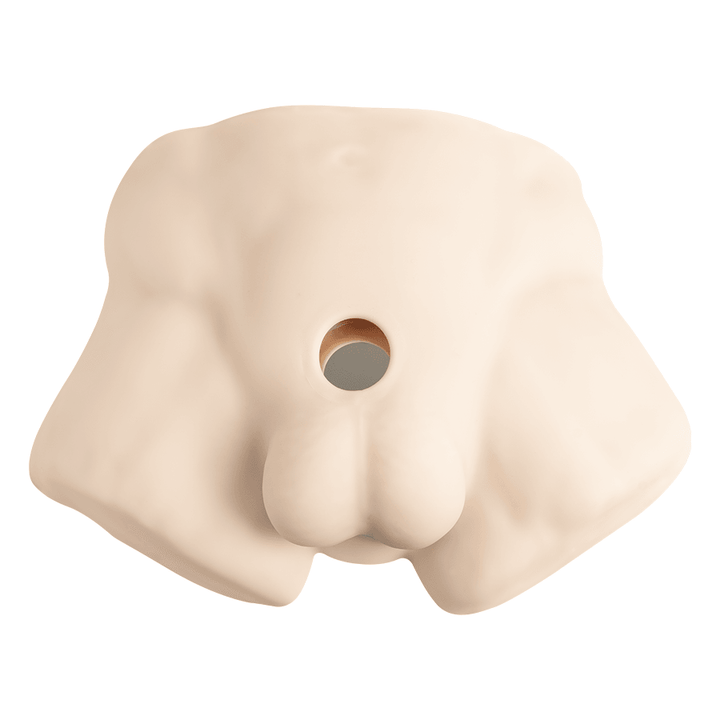 Premium Silicone Realistic Medio Torso de Dildo Intercambiable - Sen Fantasy