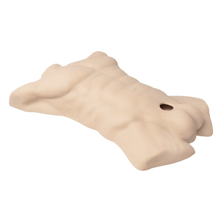 Premiun Silicone Realistic Male Torso de Dildo Intercambiable - Sen Fantasy